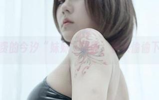 不收费的今汐“妹妹”原图,快来偷偷下载!