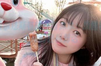 揭开贝尔法斯特的炸酱沐沐：原图和图集之间的轻松对话