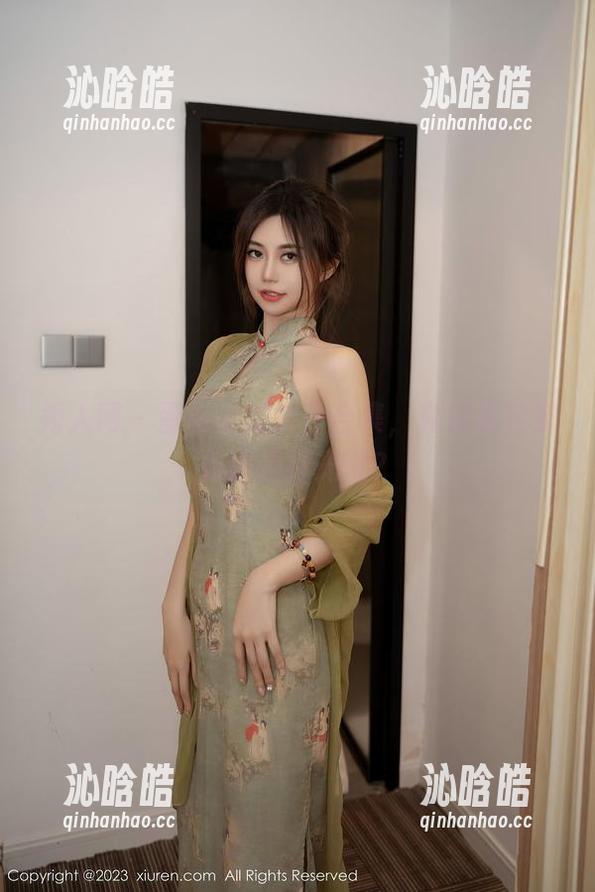 秀人网 - 蛋蛋宝的女仆合集，究竟是做家务还是打光呢？